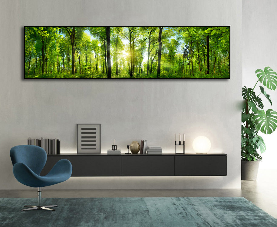Pine Stretched  Framed 1 Panel - Extra Wide Woodlands Panorama with Rays of Sunlight