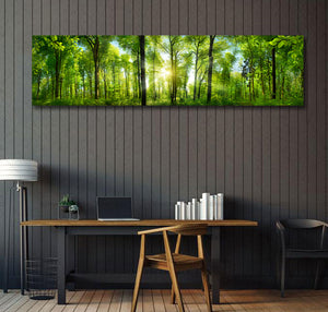 Pine Stretched  Framed 1 Panel - Extra Wide Woodlands Panorama with Rays of Sunlight