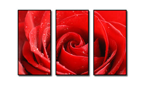 Pine Stretched  Framed 3 Panels - Rose