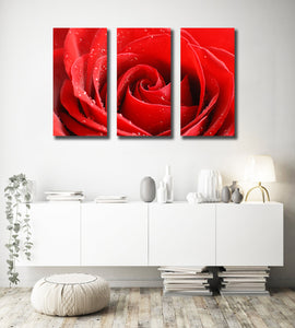 Pine Stretched  Framed 3 Panels - Rose
