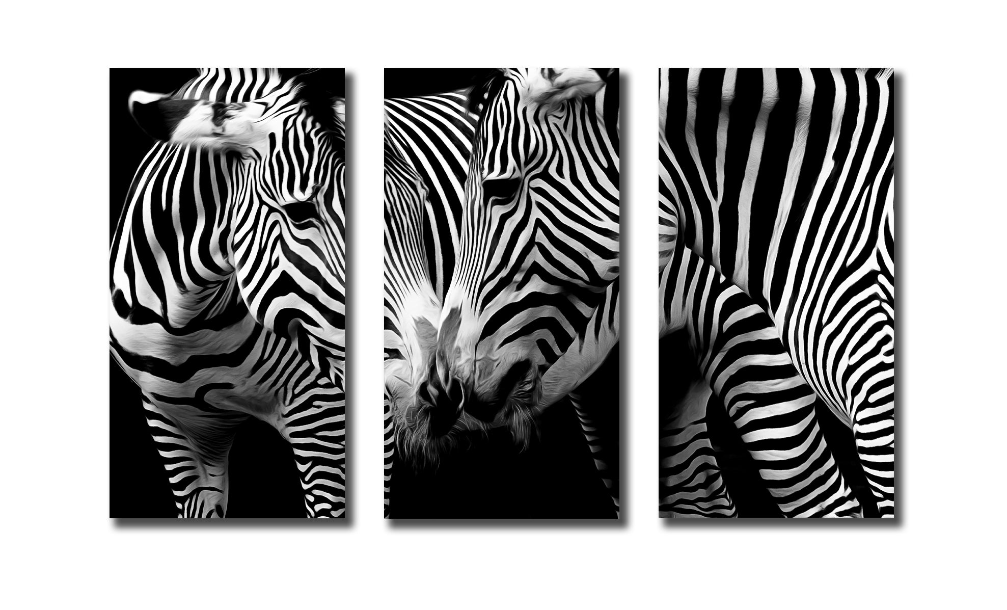 Pine Stretched  Framed 3 Panels - Zebras