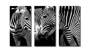 Pine Stretched  Framed 3 Panels - Zebras