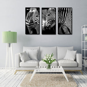Pine Stretched  Framed 3 Panels - Zebras