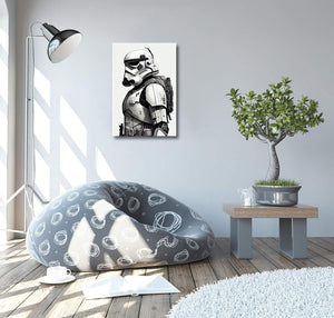 Framed 1 Panel - Stormtrooper