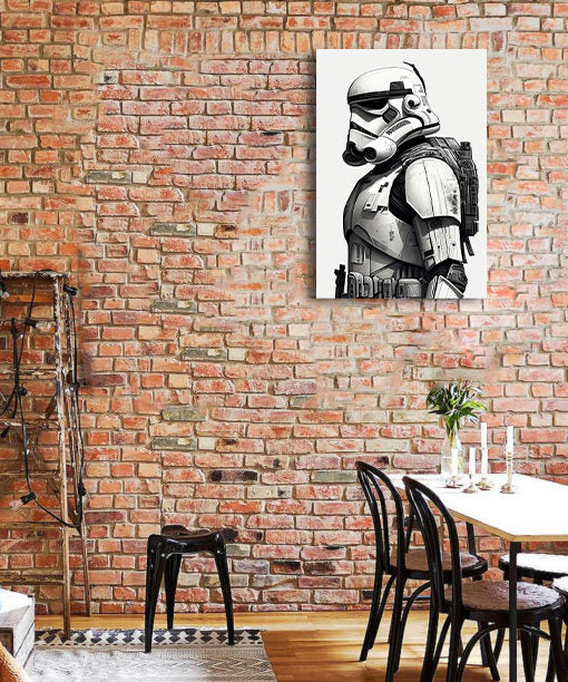 Framed 1 Panel - Stormtrooper