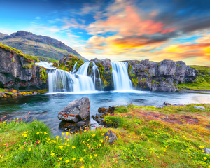 Pine Stretched  Framed 1 Panel - Kirkjufellsfoss Waterfall