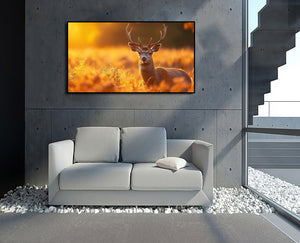 Pine Stretched  Framed 1 Panel - Stag in the sunlight