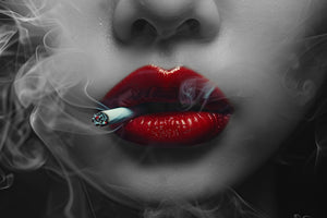 Modern Pop Art Canvas Wall Art Print Poster | Home Decor | Stretched 1 Panel - Smoking Lady