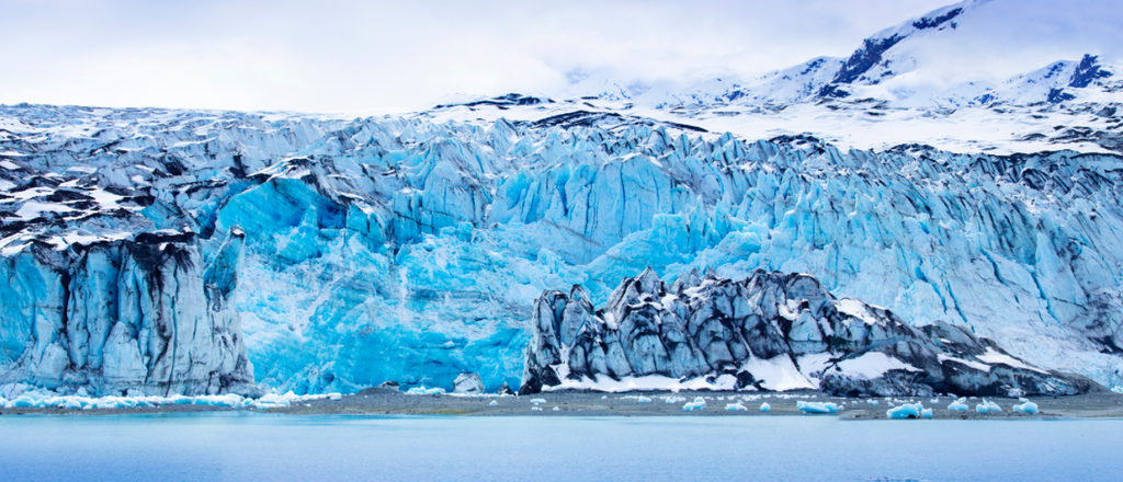 Pine Stretched  Framed 1 Panel - World Natural Heritage - Alaska Glacier Bay