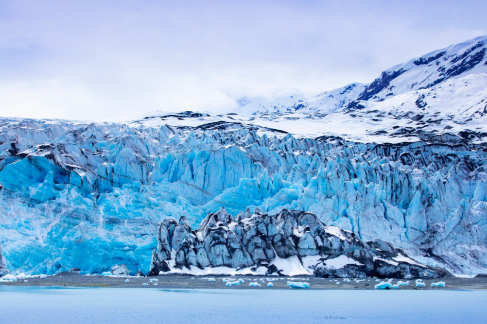 Pine Stretched  Framed 1 Panel - World Natural Heritage - Alaska Glacier Bay