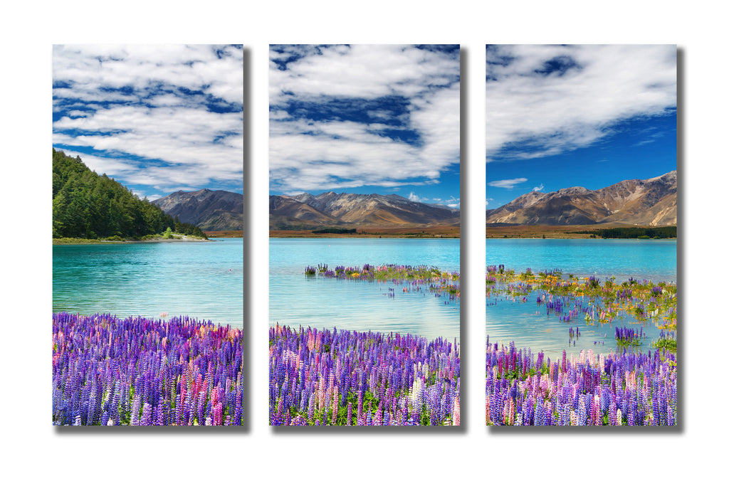Pine Stretched  Framed 3 Panels - Lake Tekapo