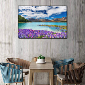 Pine Stretched  Framed 1 Panel - Lake Tekapo, New Zealand