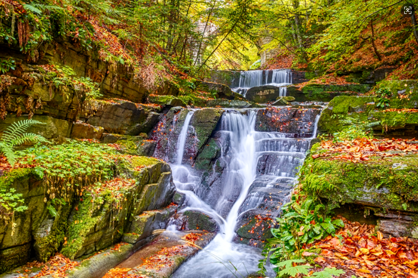 Pine Stretched  Framed 1 Panel - Waterfall in Autumn