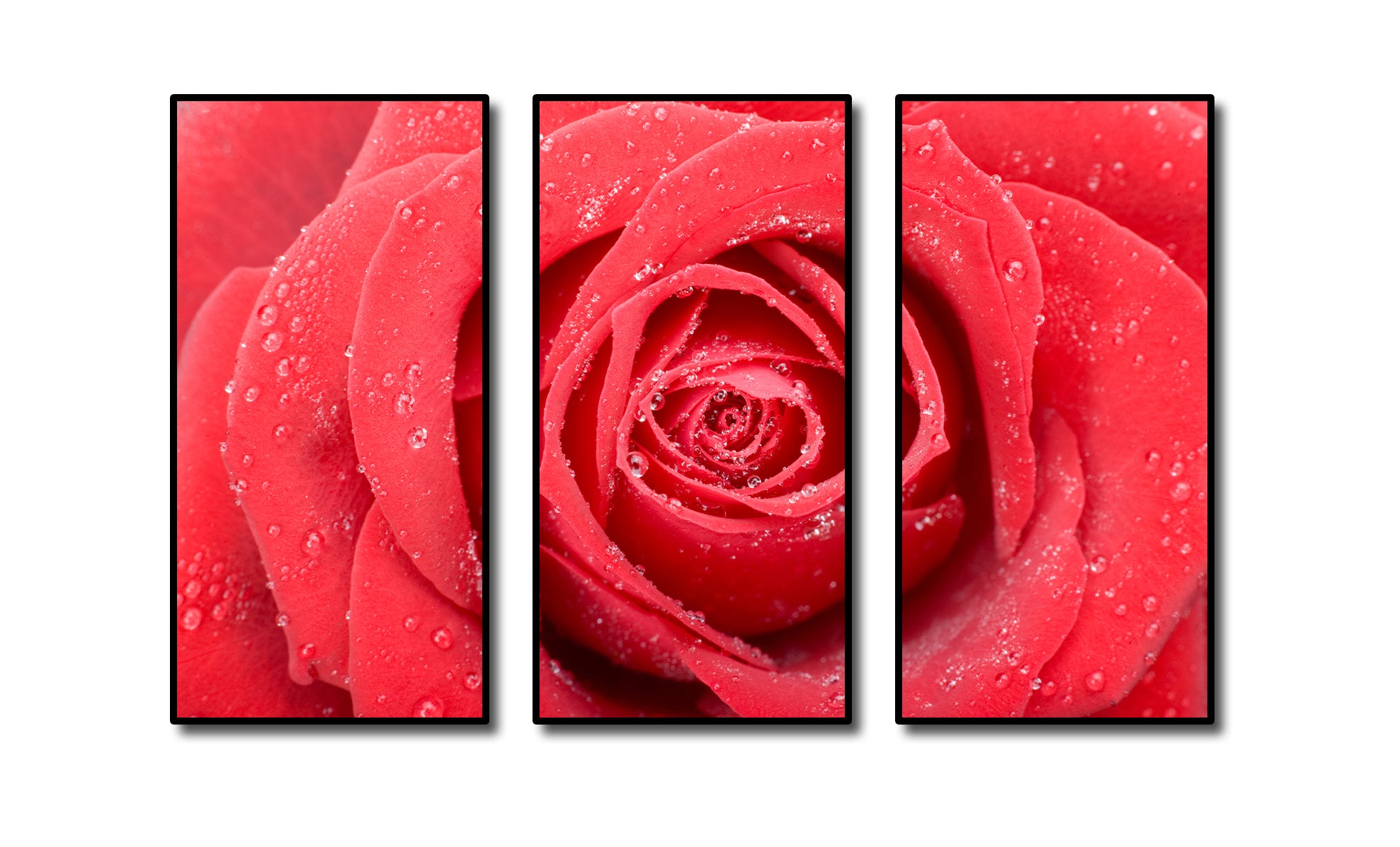 Pine Stretched  Framed 3 Panels - Rose