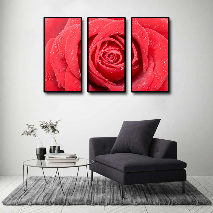 Pine Stretched  Framed 3 Panels - Rose