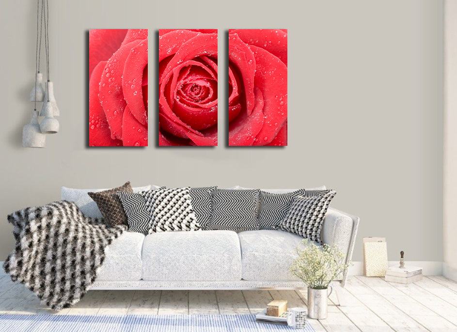 Pine Stretched  Framed 3 Panels - Rose