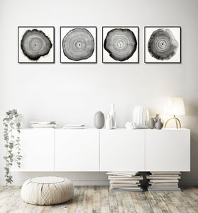 Framed 4 Panels - Tree Ring