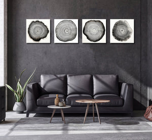 Framed 4 Panels - Tree Ring