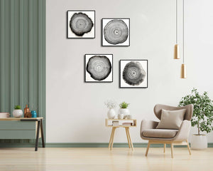 Framed 4 Panels - Tree Ring
