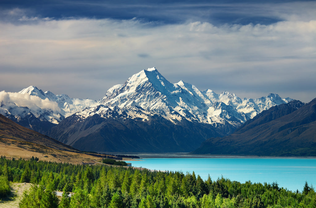 Pine Stretched  Framed 1 Panel - Mount Cook and Pukaki lake, New Zealand