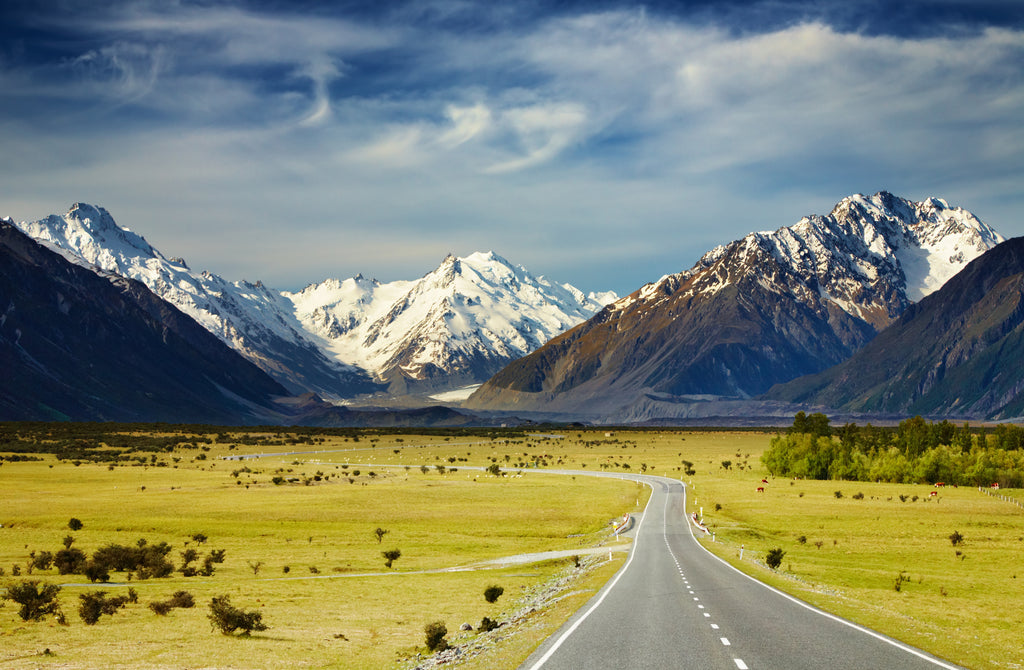Pine Stretched  Framed 1 Panel - Road to Southern Alps