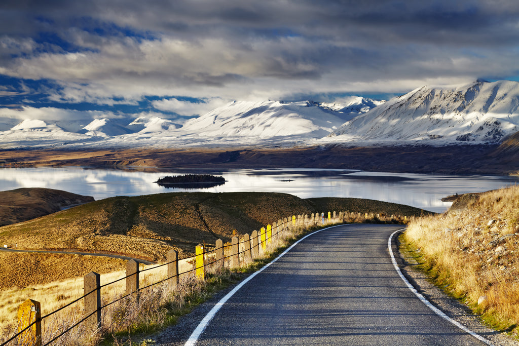Pine Stretched  Framed 1 Panel - Southern Alps and Lake Tekapo