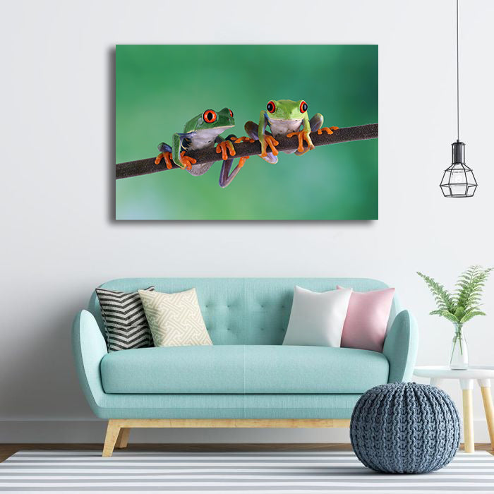 Pine Stretched  Framed 1 Panel - Red Eye Tree Frogs