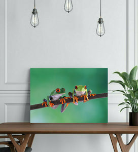 Pine Stretched  Framed 1 Panel - Red Eye Tree Frogs