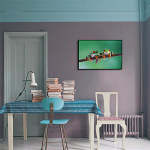 Pine Stretched  Framed 1 Panel - Red Eye Tree Frogs