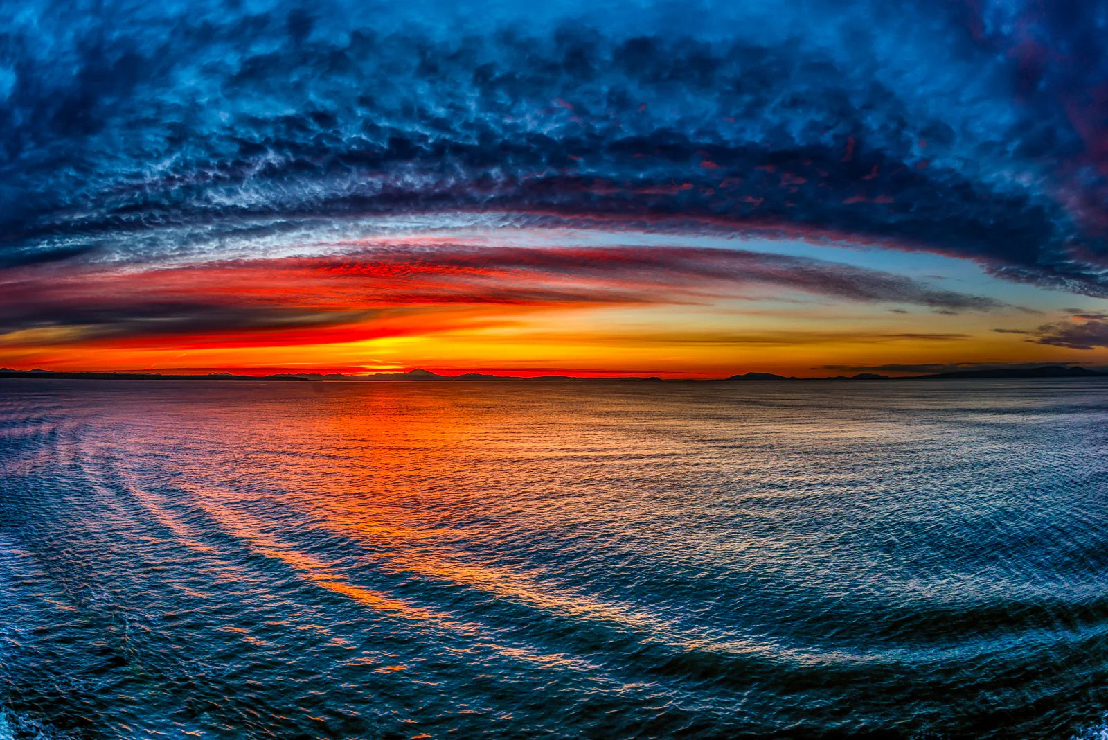 Pine Stretched  Framed 1 Panel - Sunset