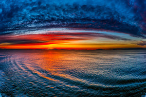 Pine Stretched  Framed 1 Panel - Sunset