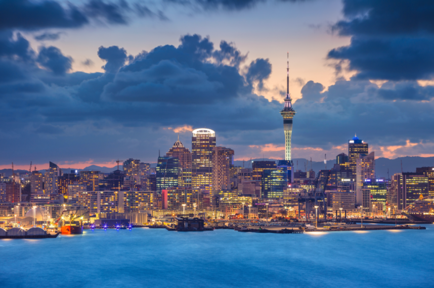 Pine Stretched  Framed 1 Panel - Auckland City, New Zealand
