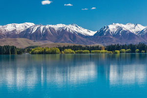Pine Stretched  Framed 1 Panel - Lake Ruataniwha, New Zealand, South Island