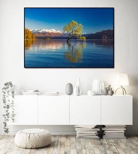 Pine Stretched  Framed 1 Panel - Lake Wanaka in Autumn