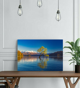 Pine Stretched  Framed 1 Panel - Lake Wanaka in Autumn