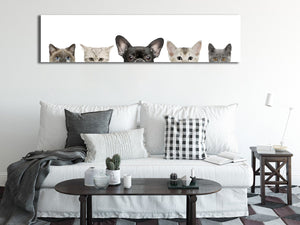 Pine Stretched  Framed 1 Panel - Cute Animals