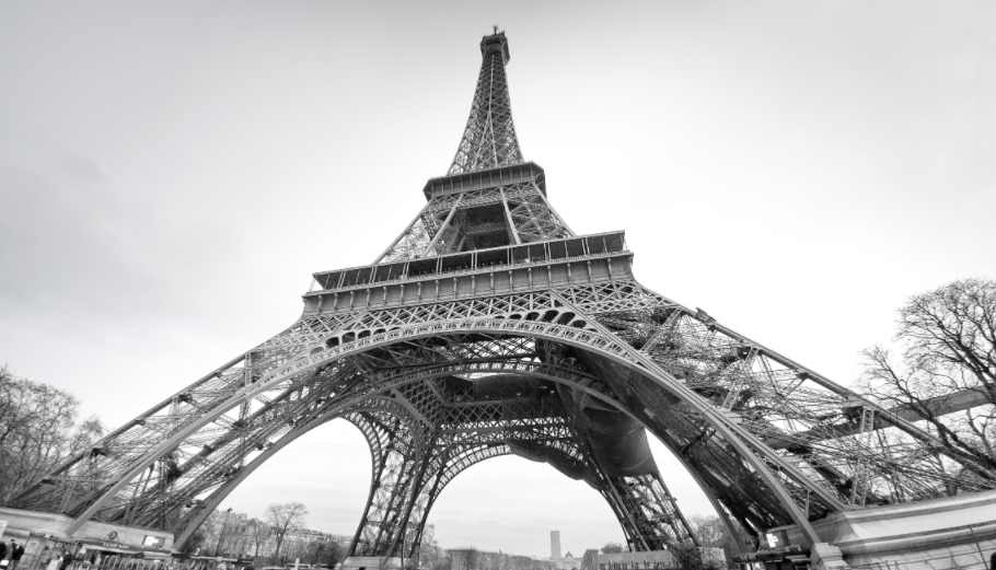 Pine Stretched  Framed 1 Panel - Eiffel Tower