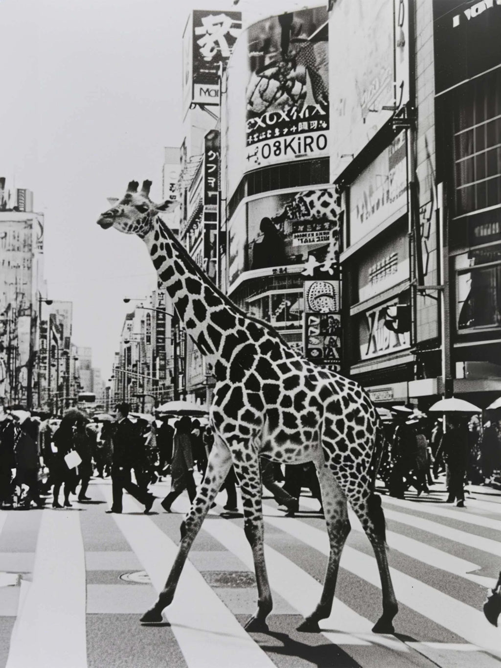 Modern Animal Canvas Wall Art Print Poster | Home Decor | Stretched 1 Panel - City Sightseeing