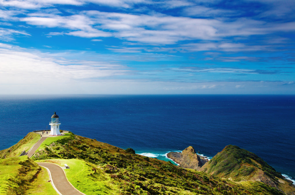 Pine Stretched  Framed 1 Panel - Cape Reinga Lighthouse, New Zealand