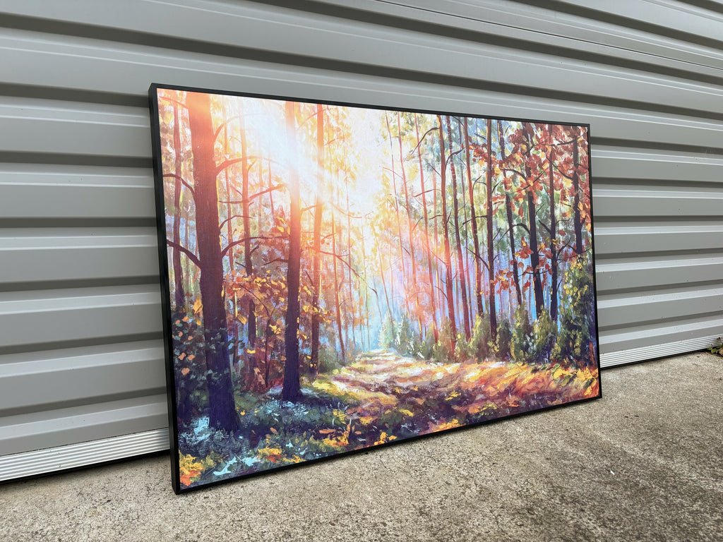 Pine Stretched  Framed 1 Panel - Finished Products - Autumn Forest in Morning Sunlight