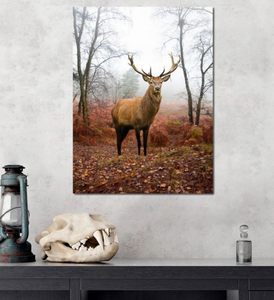 Pine Stretched  Framed 1 Panel - Deer