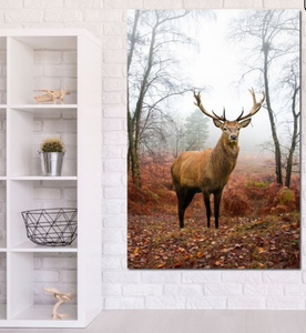 Pine Stretched  Framed 1 Panel - Deer