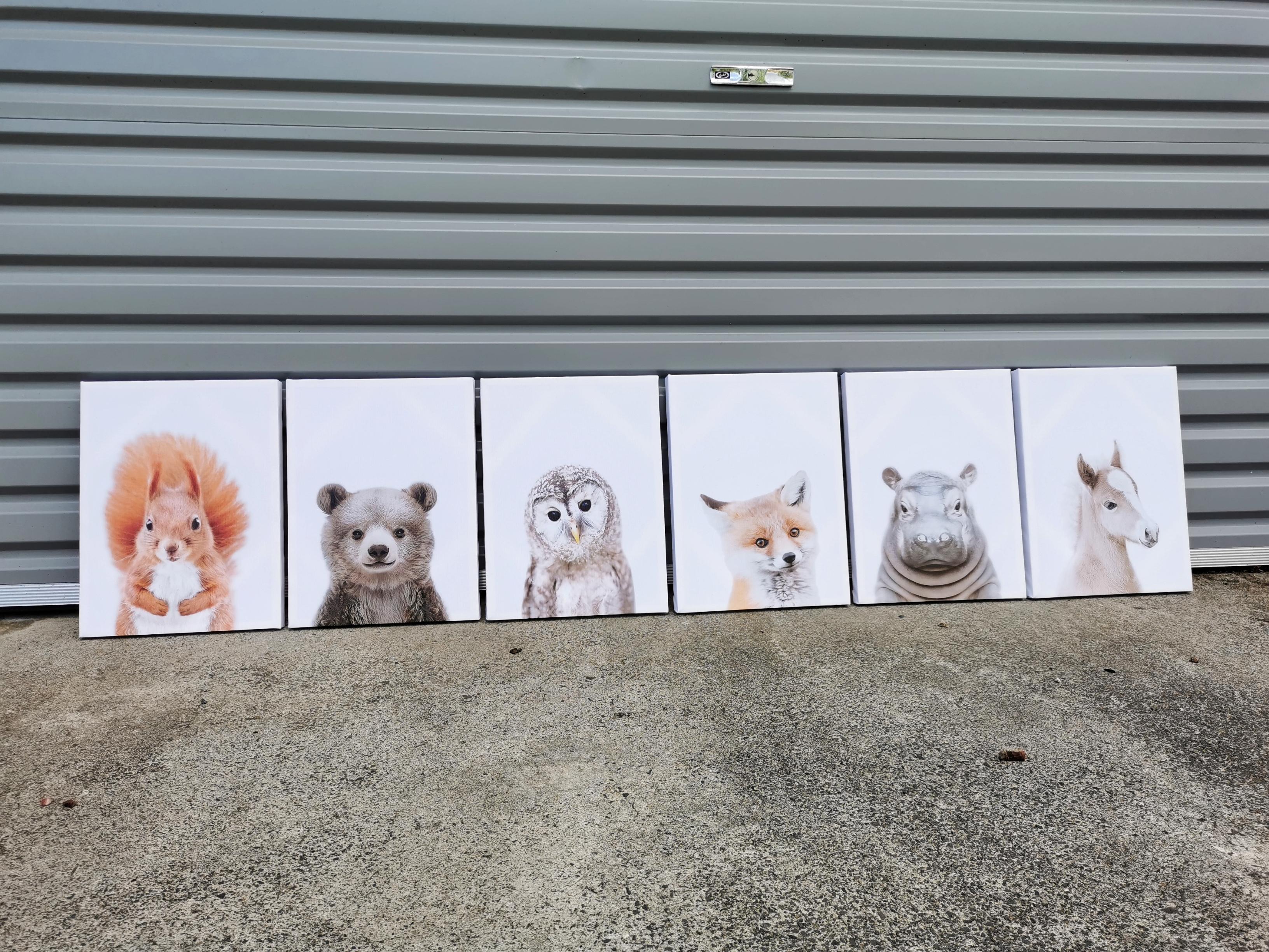 Pine Stretched  Framed 6 Panels - Kids Room - Set of Cute Animals