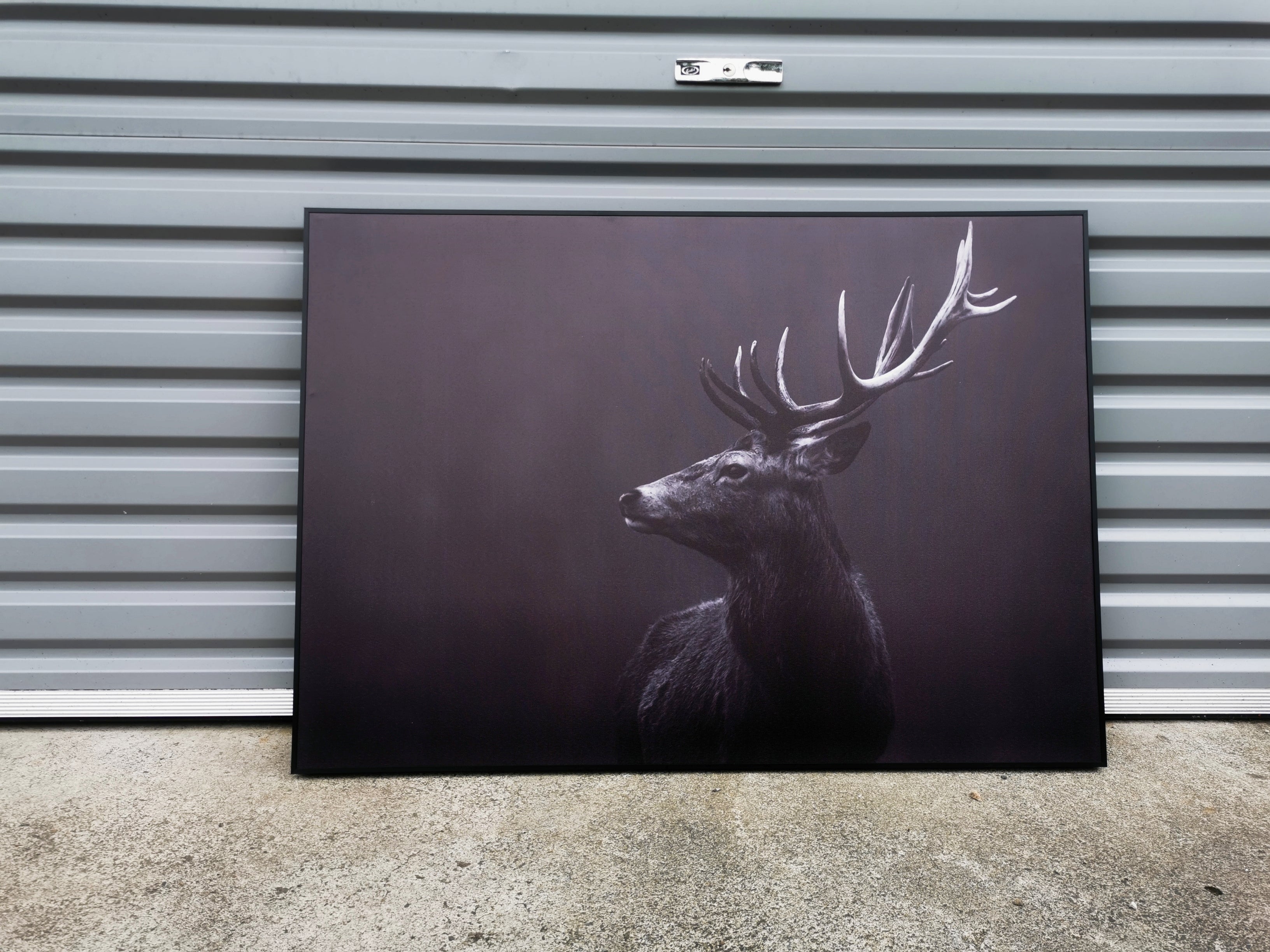 Pine Stretched  Framed 1 Panel - Finished Products - Red Deer