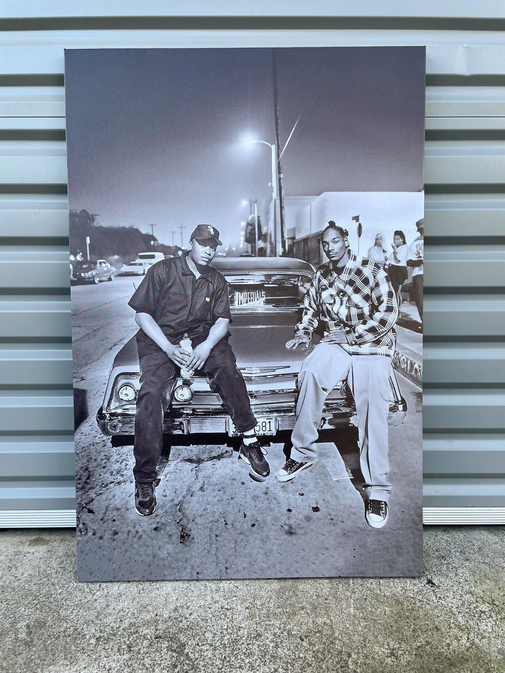 Pine Stretched  Framed 1 Panel - Finished Products - Snoop Dogg