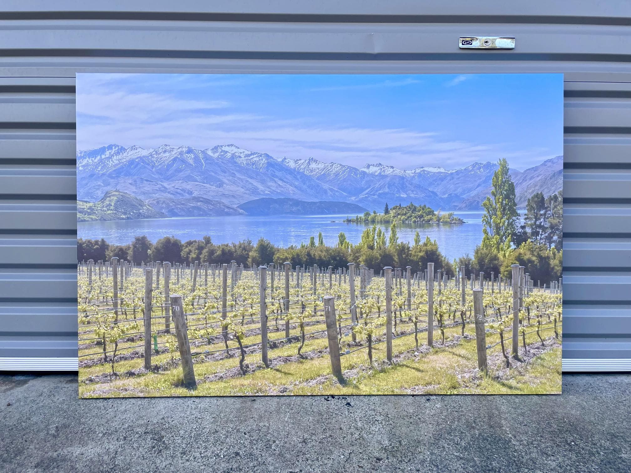 Pine Stretched  Framed 1 Panel - Finished Products - Vineyard on The Lake - New Zealand