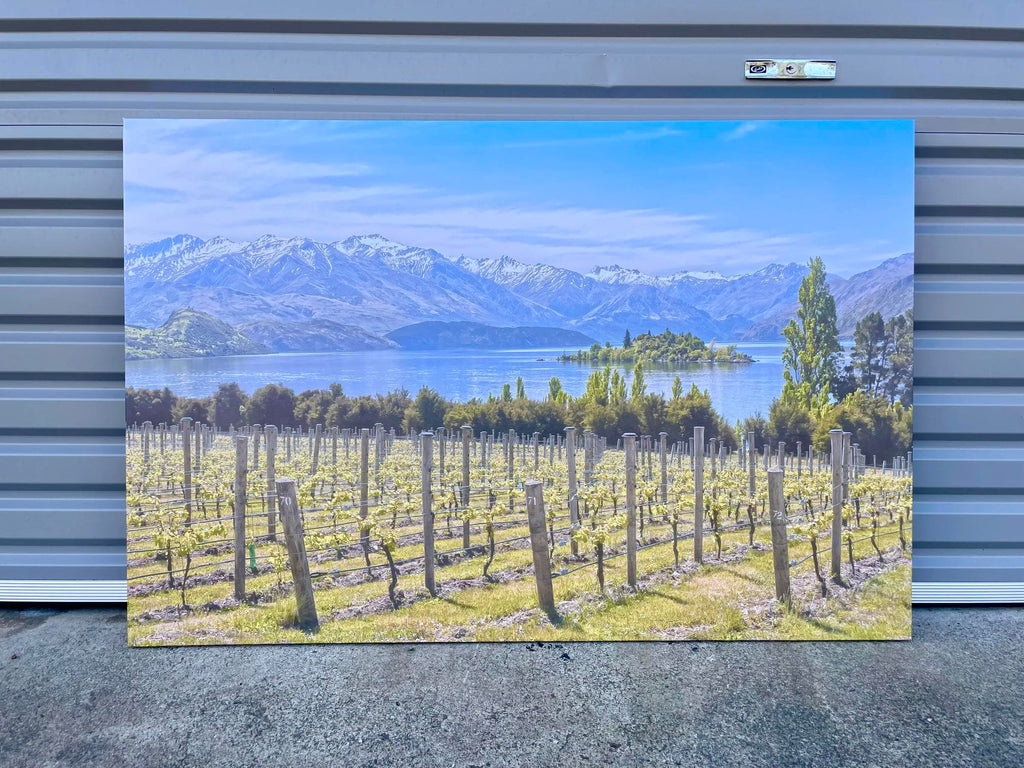 Pine Stretched  Framed 1 Panel - Finished Products - Vineyard on The Lake - New Zealand