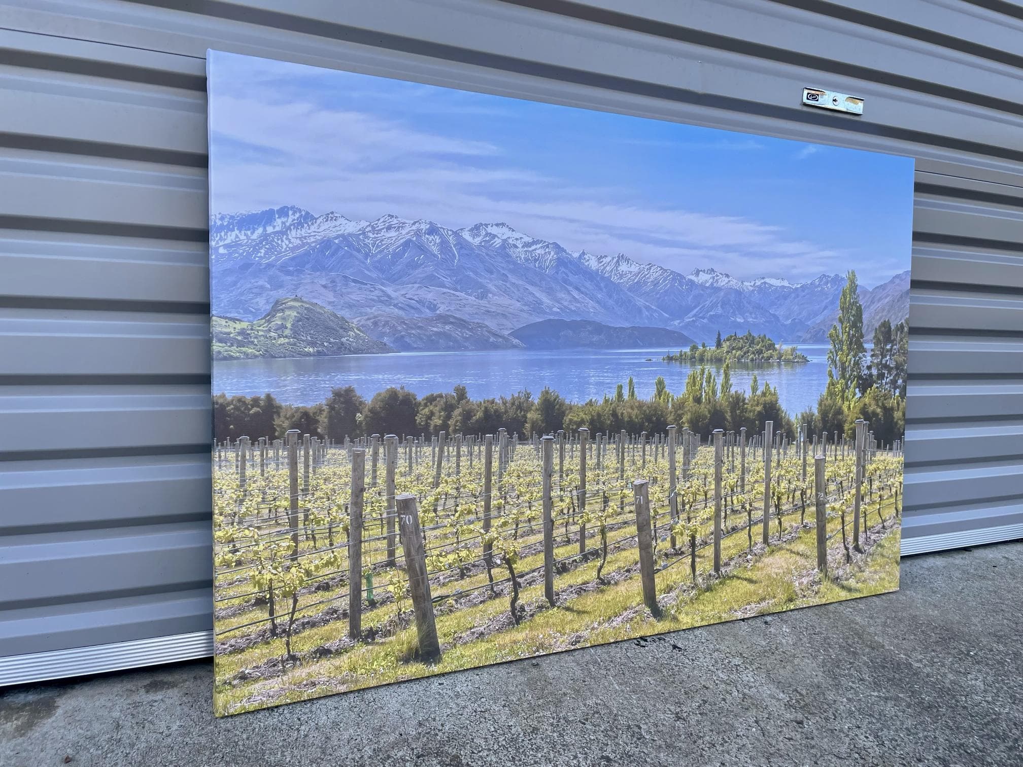 Pine Stretched  Framed 1 Panel - Finished Products - Vineyard on The Lake - New Zealand