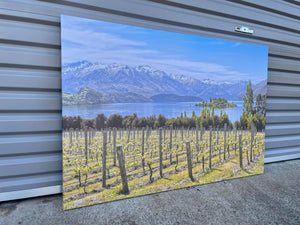 Pine Stretched  Framed 1 Panel - Finished Products - Vineyard on The Lake - New Zealand