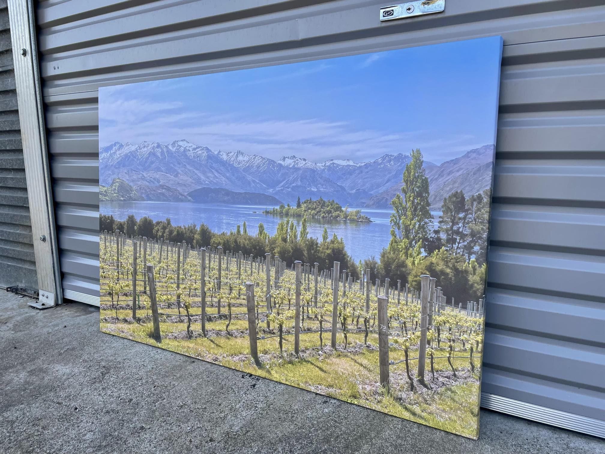 Pine Stretched  Framed 1 Panel - Finished Products - Vineyard on The Lake - New Zealand
